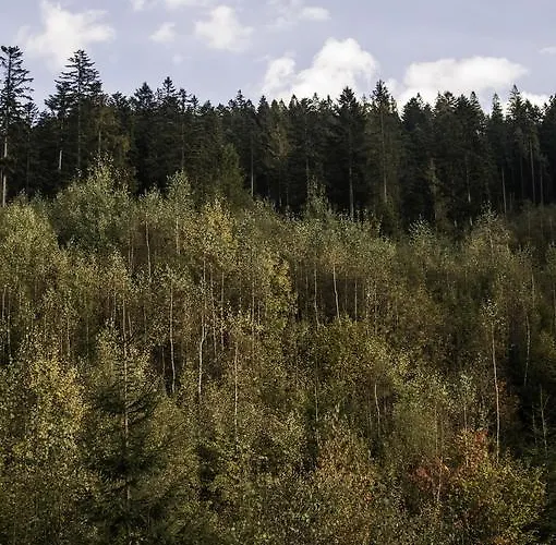 בית נופש Przy Strumyku *